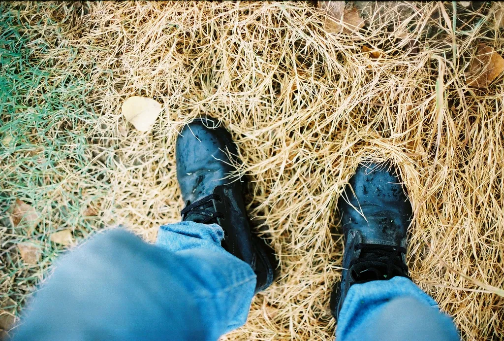 Kodak Ektar 100 sample