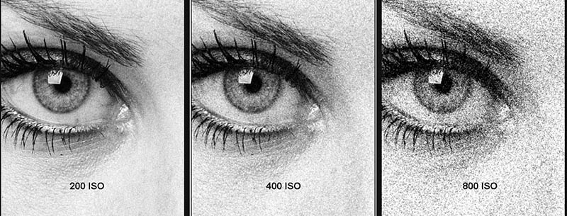 200 iso vs 400 iso and 800 iso