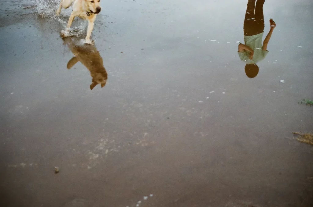 Photo sample of the Nikon F3