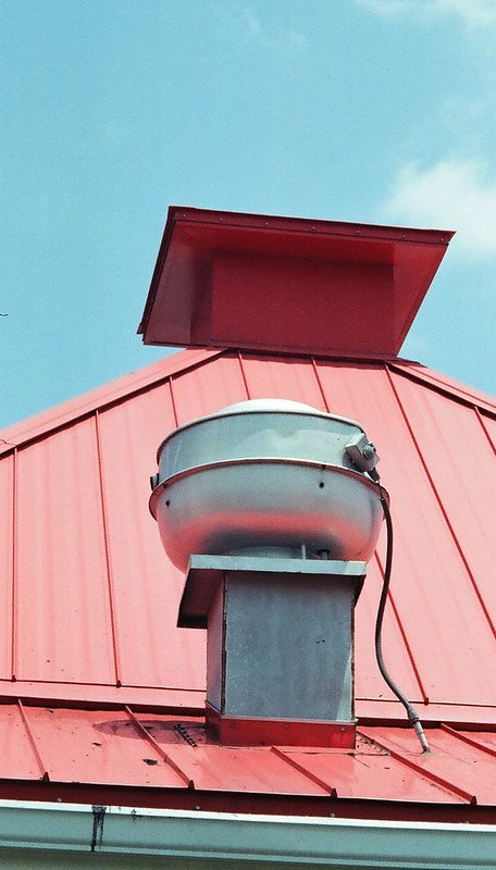 rollei nano 80 sample image